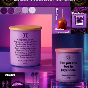 Zodiaque Gemeaux / Gemini